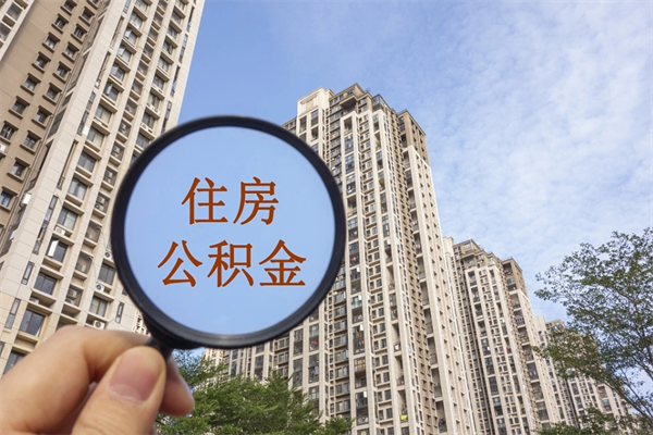 九江辞职可以取住房公积金吗（我辞职了可以提取住房公积金吗）